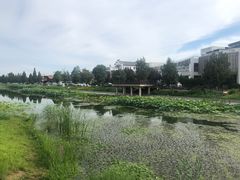 -素心小筑(后沙裕镇店)