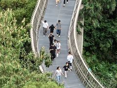 -福道