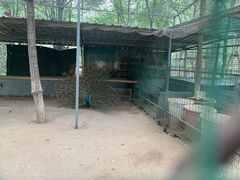 -草根堂农场