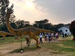 -祥源·阜阳生态乐园