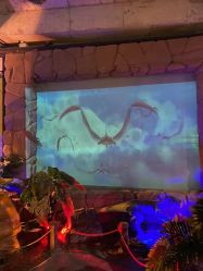 -恐龙探索乐园(磁器口店)