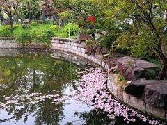 -嘉定紫藤园
