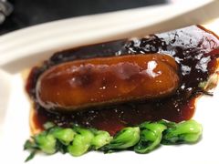 虾籽大乌参-老正兴菜馆(福州路店)