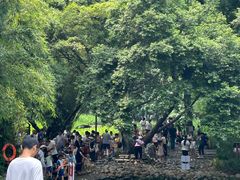 -成都市活水公园