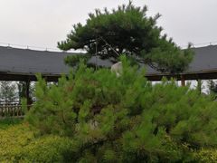 -泰山天颐湖旅游度假区