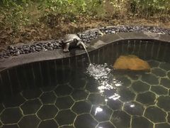 -盘锦红海温泉乐园