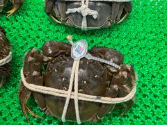 -GranVida生活超市(海信广场店)