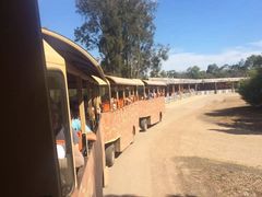 -威勒比开放式动物园