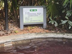 -林丰温泉度假山庄