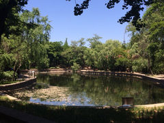 iphone_upload_pic-八大关景区
