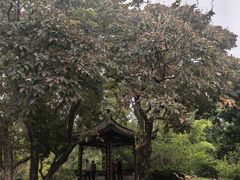 -四海公园(南山区)