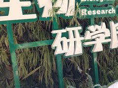 -花之城