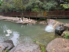 -云丘山景区