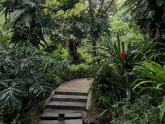 -深圳仙湖植物园