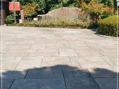 -绍兴镜湖国家城市湿地公园