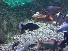 -常州海昌海洋探索馆