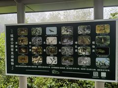 -福道
