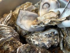 -千岛蚝高压锅生蚝·人参火锅(白云万达店)