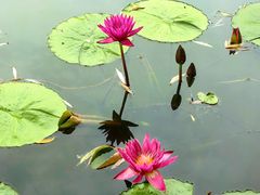 -国家植物园南园