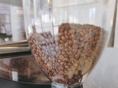 -ALAMB八角杯咖啡(金沙湖大剧院店)