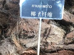 -大象粑粑造纸公园