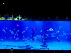 -烟台海昌鲸鲨海洋公园