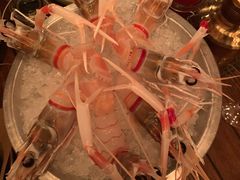 -Oyster Talks 四度蚝法餐厅