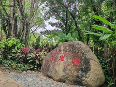 -西双版纳傣族园