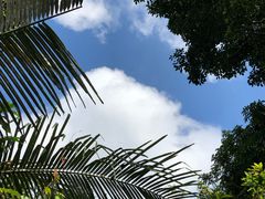 -呀诺达热带雨林