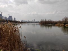 -洋湖国家湿地公园