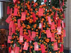 -汕头龙光喜来登酒店