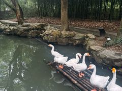 -兰亭风景区