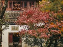 -虎跑公园
