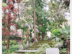 -东天目山风景区