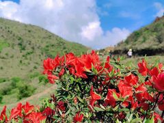 -广东天露山旅游度假区