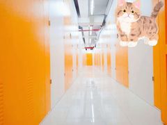 -安东易迷你自助仓储寄存仓库(杨浦店)