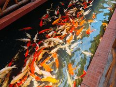 -侠成水上农庄(工业大道店)