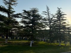 -中国人民抗日战争纪念雕塑园