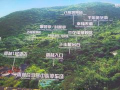 -呀诺达热带雨林