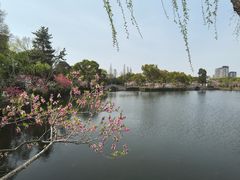 -无锡蠡湖国家湿地公园-蠡园