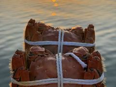 -品鲜村农家菜·阳澄湖大闸蟹(总店)