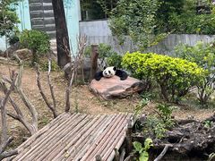 -南宁市动物园