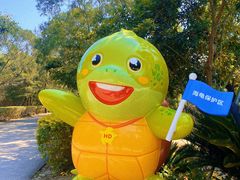 -广东惠东海龟国家级自然保护区