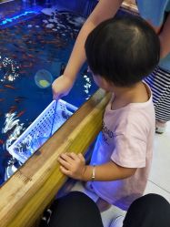 点击看大图 -孩子王童乐园(合肥瑶海万达店)