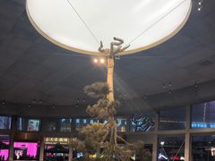 -金光华广场