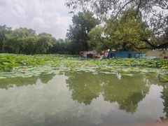 -北陵公园