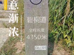 -梧桐山风景名胜区