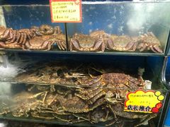 阿拉斯加蟹皇-蚝专家(北滘店)