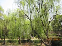 IMG_1740-上海市龙华烈士陵园