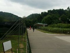 -中山市树木园